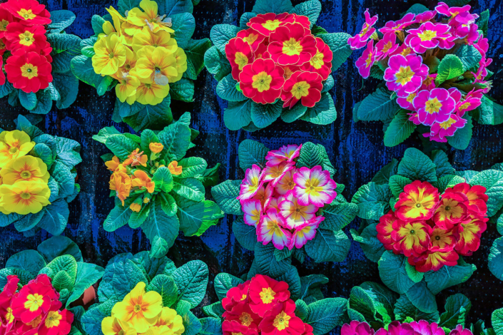 Specialty Product Logistics & Freight Services | Northland Express